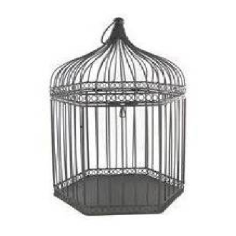 Wholesale indian handmade metal bird cage supplier