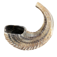 Wholesaler Ram Shofar for Jewish