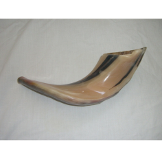 Wholesaler Small Classic Ram Ram's Horn Shofar Polished Finish New