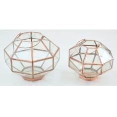 Terrarium With Copper Finishing Octagonal Design And Set OF 2 Exporter