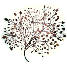 Wall Art With Leaves Flower Design And Tree Shape And Brown Color Exporter