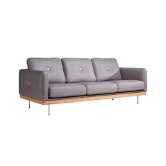 Living room Furniture morning light sofa Manufacturer