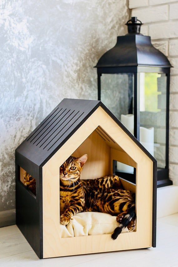 Pets Furniture