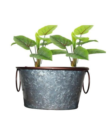 Wholesaler Antique Galvanized Iron Metal Planter