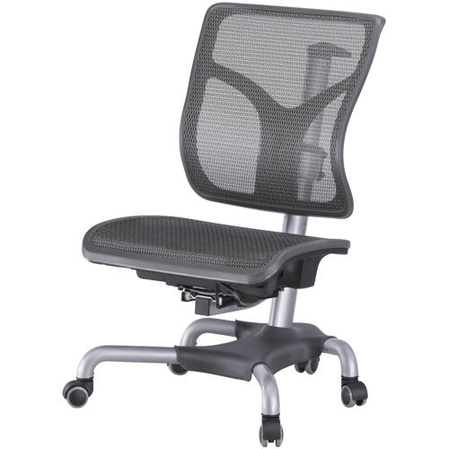 Einstein-Series Children's Mesh Chair Exporter