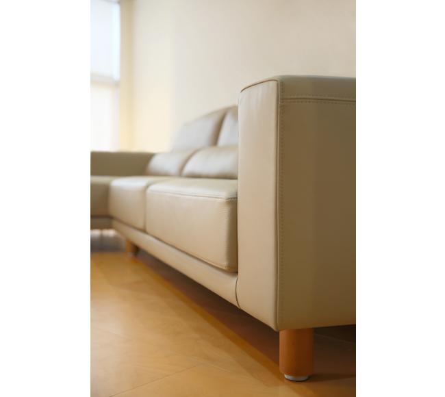 Chutian sofa Paddy Field Exporter